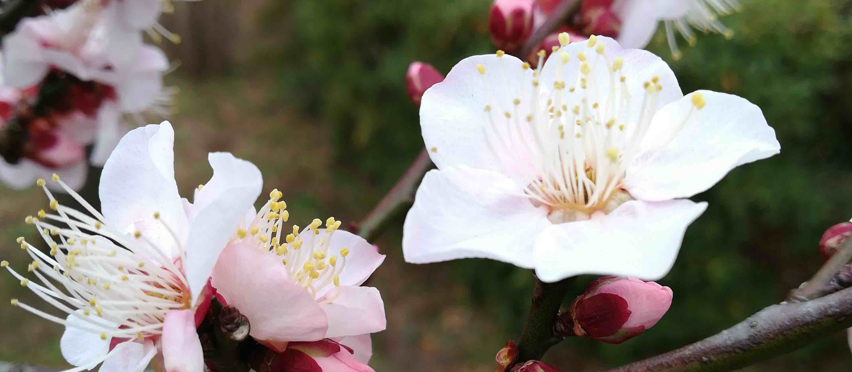 今回もやります!区議&挑戦者アンケート